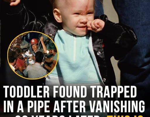 This image has an empty alt attribute; its file name is image-89.png